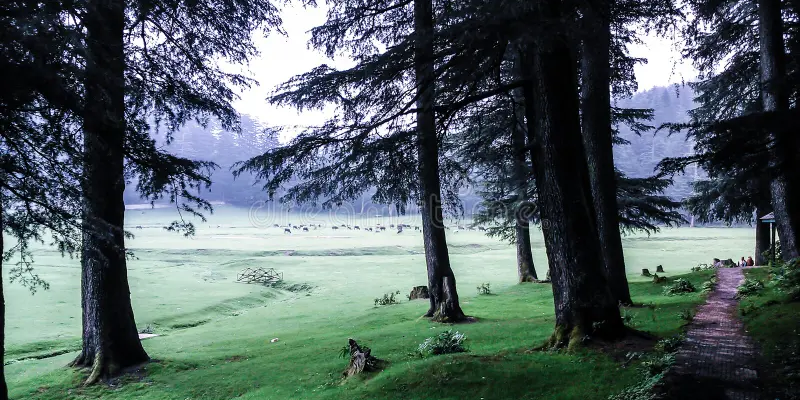 Kalatop Wildlife Sanctuary in winters