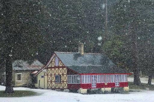 Snow in Dalhousie