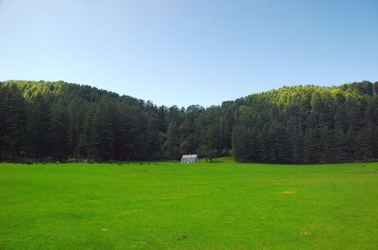 Summer in Dalhousie